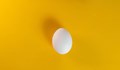 Празник на яйцето в Павликени