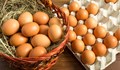 Яйцата няма да поскъпват за Великден