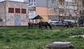 Конска идилия в квартал "Дружба"