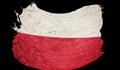 Полша забрани не само вноса, но и транзита на украинско зърно и други храни