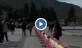 100-метров козунак във Враца