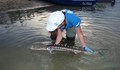 Специална зона пази есетровите риби по Дунав