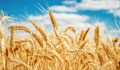 Влезе в сила забраната за внос на украински земеделски стоки