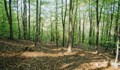 "Седмицата на гората 2023" започва на 3 април