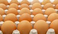 Гръцките власти задържаха над 302 000 яйца от България