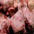 200 тона агнешко месо от Северна Македония е внесено преди празниците