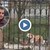 В Пернишко мъж нападна съсед и бременната му приятелка заради кучето им