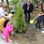 Възпитаниците на Детска ясла № 1 засадиха дръвче в двора на институцията