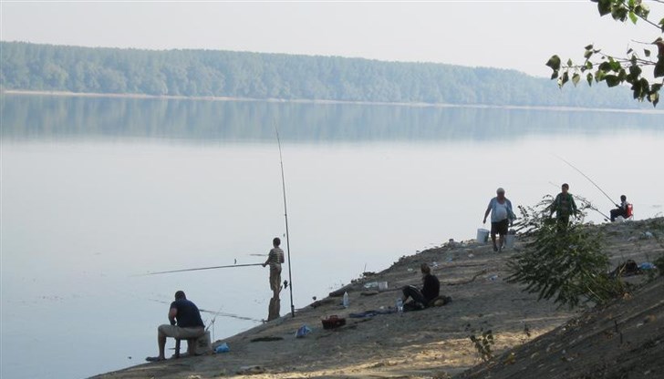 Водата в река Дунав се затопли до 10 - 12 градуса и рибата се активизира