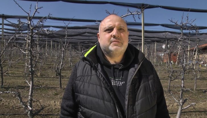 Според представителят на Браншова камара "Плодове и зеленчуци" драмите са изкуствено създадени