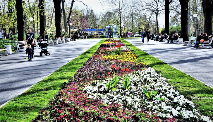 Днес максималните градуси в Русе ще достигнат 25°