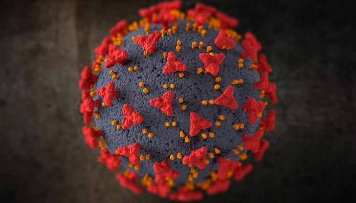 Положителни са близо 6,3% от пробите в страната Положителни са близо 6,3% от пробите в страната