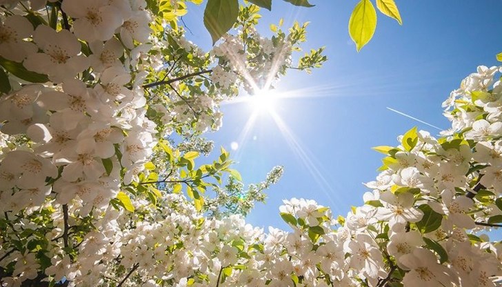 Следобяд ще се образува купеста облачност в Западна и Централна България