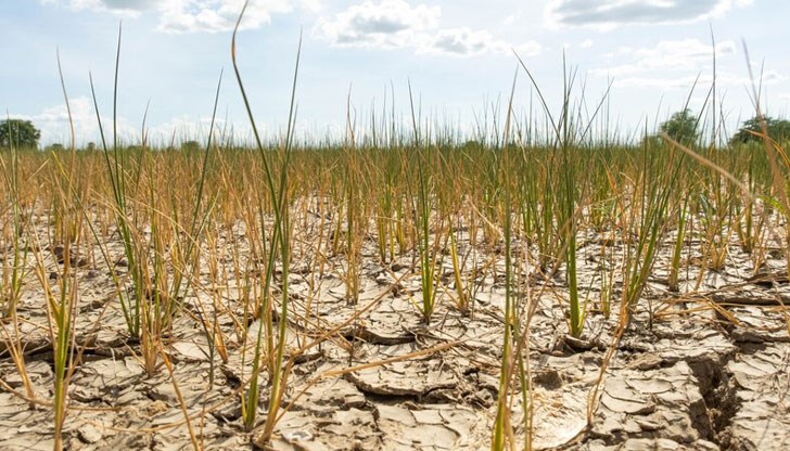 Около 60% от испанските земи са обхванати от суша, а условията се влошават и за земеделските производители в Италия и Португалия