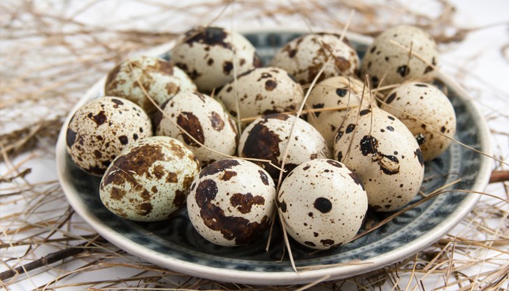 Пъдпъдъчите яйца се продават за около 3,20 лева за 10 броя