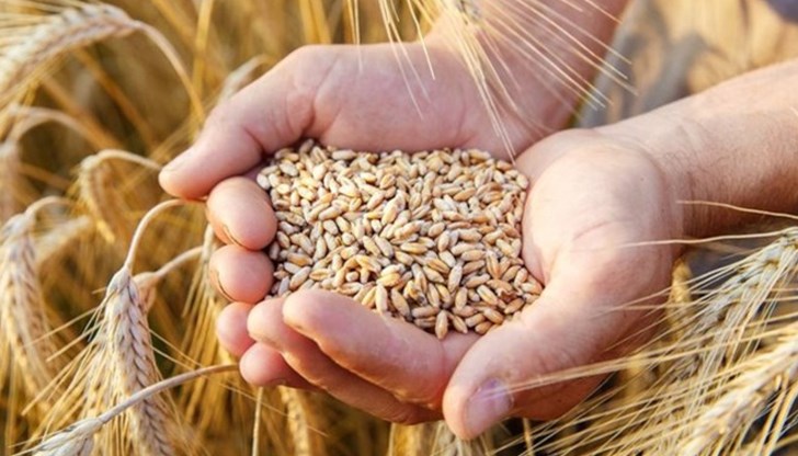 Решението е взето, след като в партида пшеница от Украйна е открито наличие на пестицид, който има отрицателно въздействие върху човешкото здраве