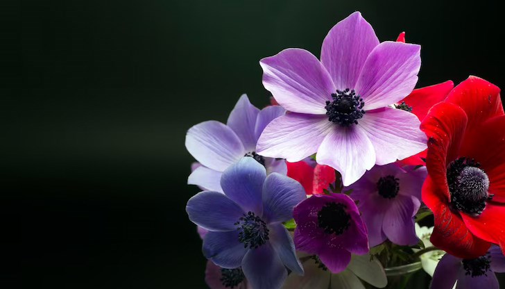 Най-често срещаното мъжко име, свързано с Цветница, е Флорин