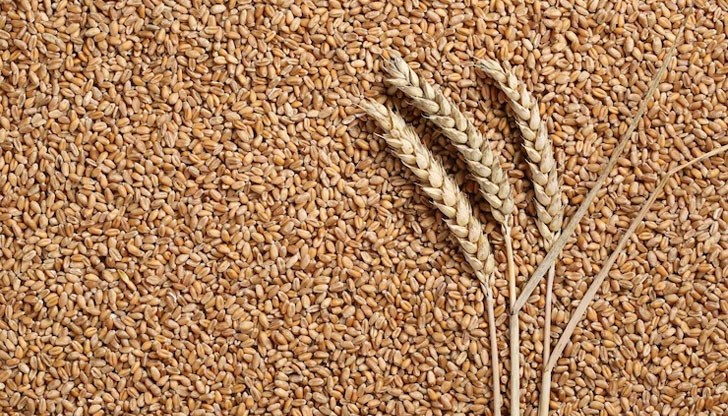 Решението на правителството е взето, за да се защити полския селскостопански сектор, заяви Ярослав Качински Решението на правителството е взето, за да се защити полския селскостопански сектор, заяви Ярослав Качински