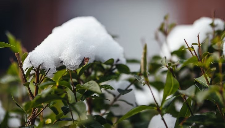 Дъжд, сняг и гръмотевици ни очакват в средата на новата седмица