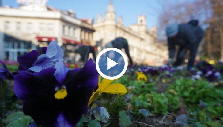 Във връзка с разширяването на дейността си, Общинско предприятие "Паркстрой" в Русе търси около 70 нови работници