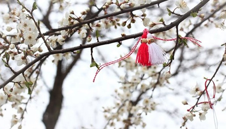В петък минималните температури ще бъдат между минус 2 и 3 градуса