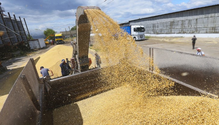 Оставката идва заради решението на Европейската комисия да удължи безмитния внос в ЕС на зърно от Украйна до юни 2024 година
