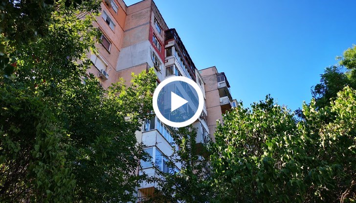 В Русе са паспортизирани около 66 хиляди дървета