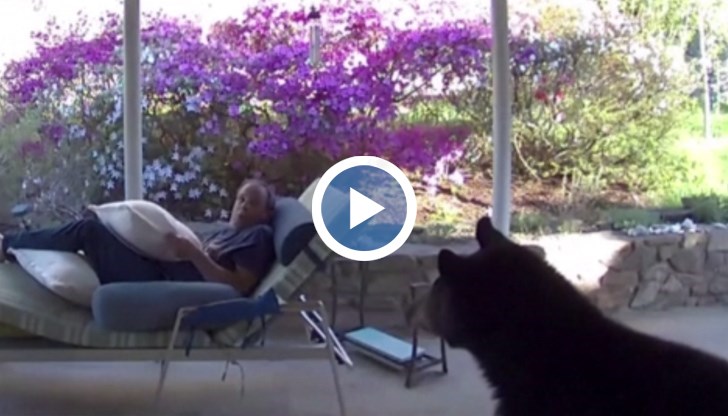 Случката е от Северна Каролина