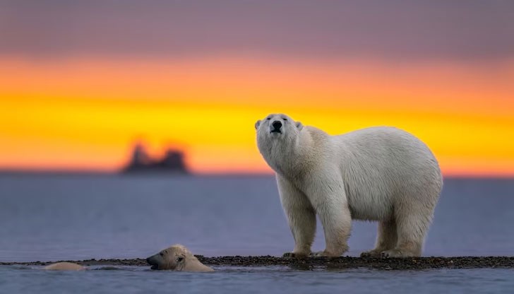 Яке, изработено от новата материя, е с 30% по-леко от подобно памучно изделие