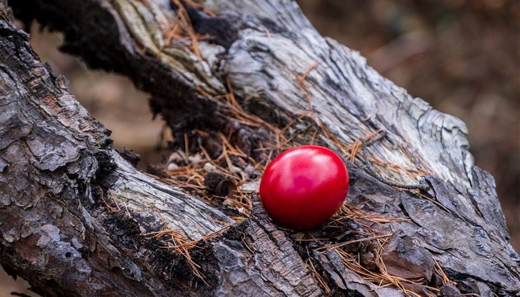 Вярванията в различните части на България са различни Вярванията в различните части на България са различни