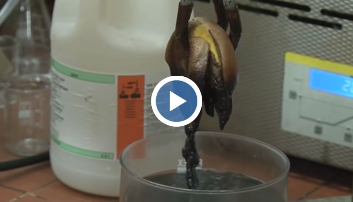 Резултатът е доста стряскащ