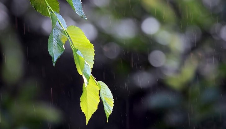 Очаква ни серия от слънце и валежи Очаква ни серия от слънце и валежи