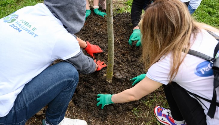 Кампанията „Да засадим въздух за нашите деца“ сади дървета в 5 училища в България