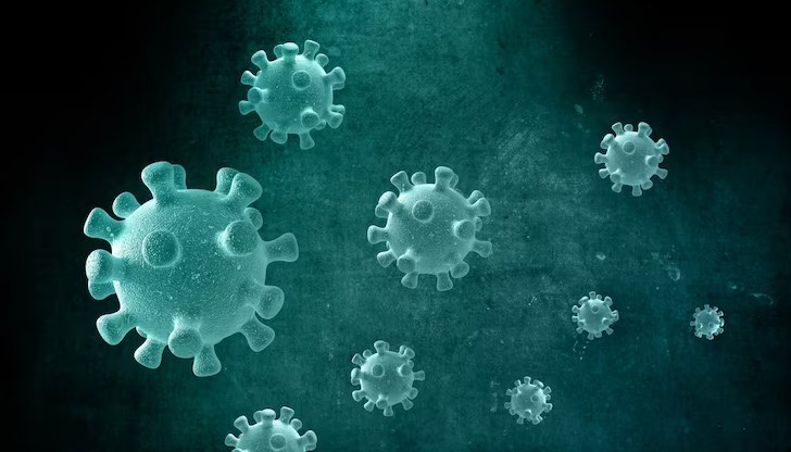 Направени са 673 теста в страната Направени са 673 теста в страната