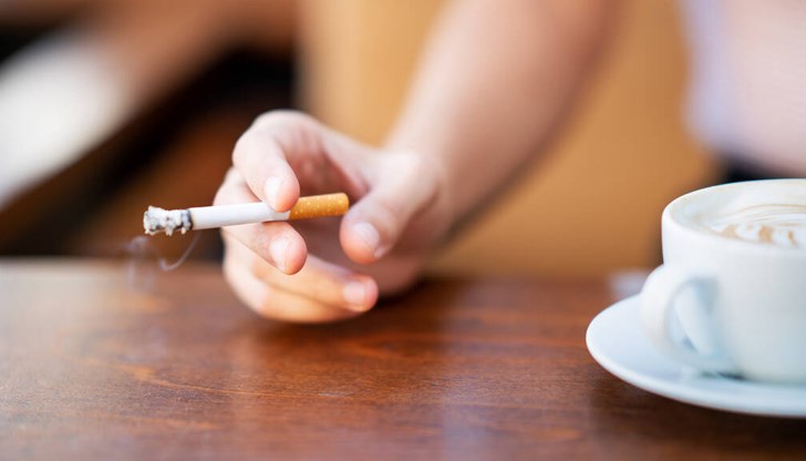 Инспектори от РЗИ поголовно пишат актове за пушене в зимните градини Инспектори от РЗИ поголовно пишат актове за пушене в зимните градини