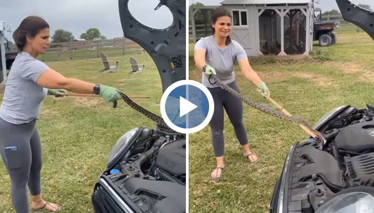 Случката се развива в Тексас