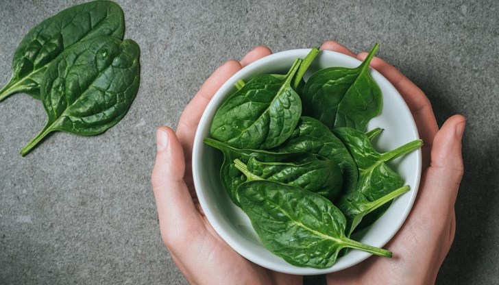 Спанакът съдържа въглехидрати и белтъчини, калий, калций, магнезий, а от витамините преобладават В1, В2, С