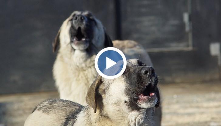 Жителите на града се вдигнаха на протест