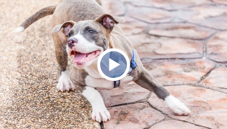 Инцидентът се е случил в центъра на града