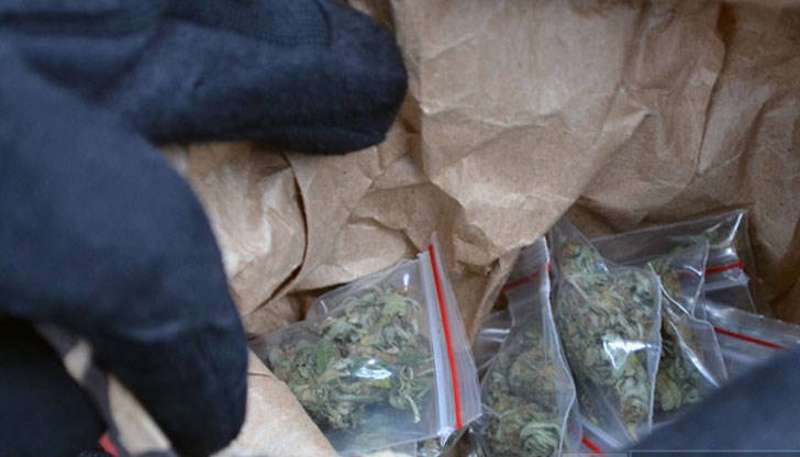 При акцията на полицията са открити 200 килограма готова за пласиране марихуана