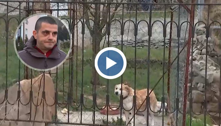 Потърпевшият си е извадил медицинско