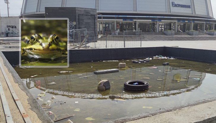 Тоя гьол отговаря на състоянието на държавата, пише русенец във Фейсбук