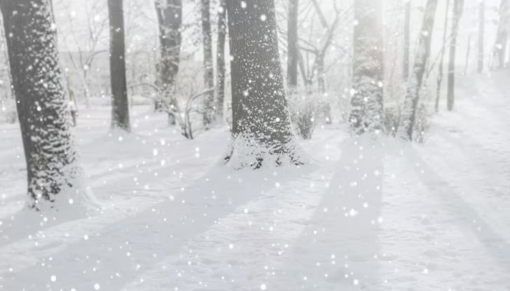 Истинска зимна обстановка цари в момента по високите части на планините у нас Истинска зимна обстановка цари в момента по високите части на планините у нас