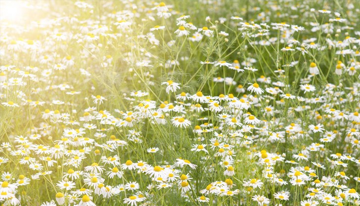 До обяд времето в Русе ще бъде предимно слънчево