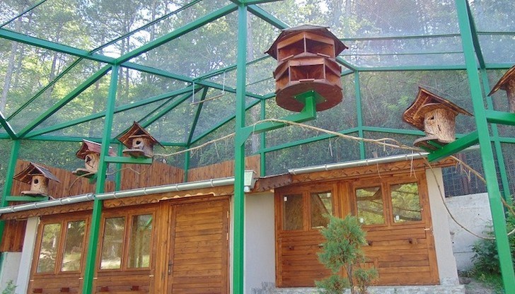 Шуменският зоопарк отваря врати през месец май Шуменският зоопарк отваря врати през месец май