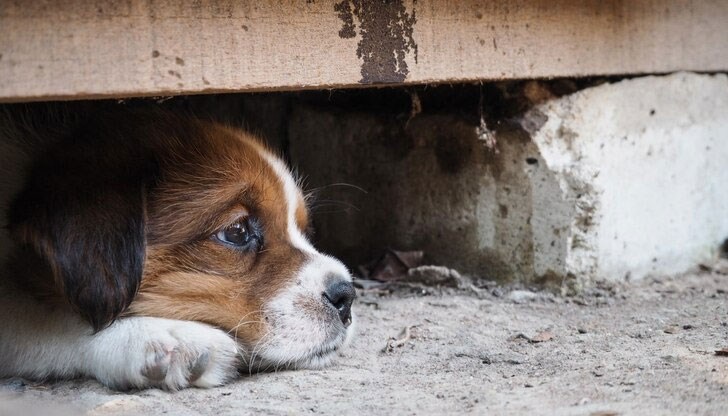 Предвижда се глоба до 5000 лева