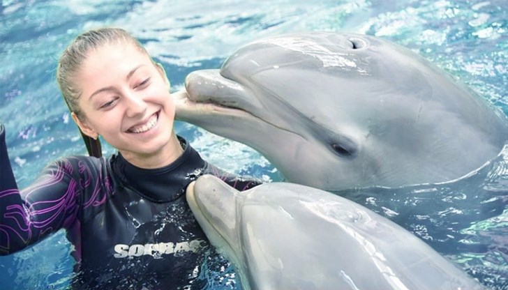 От 1 май атракцията "Плуване с делфини" отново е налична за всички, които имат навършени 12 години