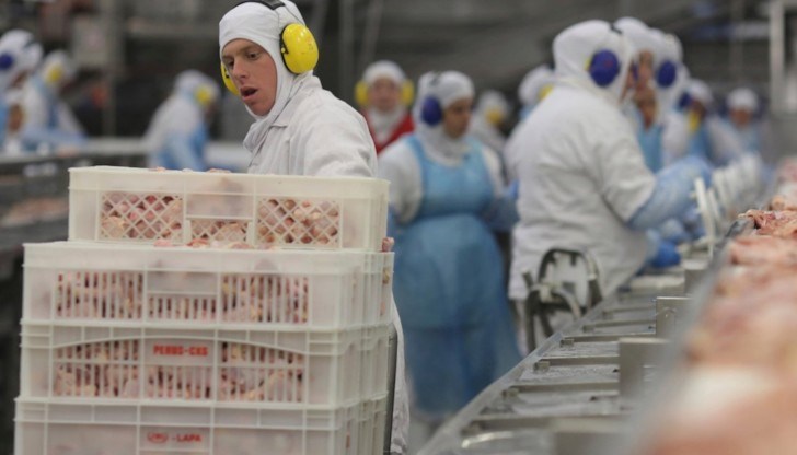 Настаняват ги в мизерни квартири на завишени цени, удържат им пари за пътуване до работното място, заплашват ги дори с убийство, ако не спазват указанията Настаняват ги в мизерни квартири на завишени цени, удържат им пари за пътуване до работното място, заплашват ги дори с убийство, ако не спазват указанията