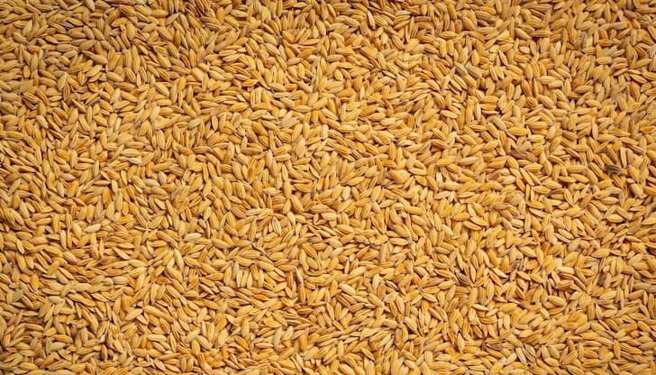Експортът на украинско зърно от Одеса през Босфора ще продължи и след 18 май