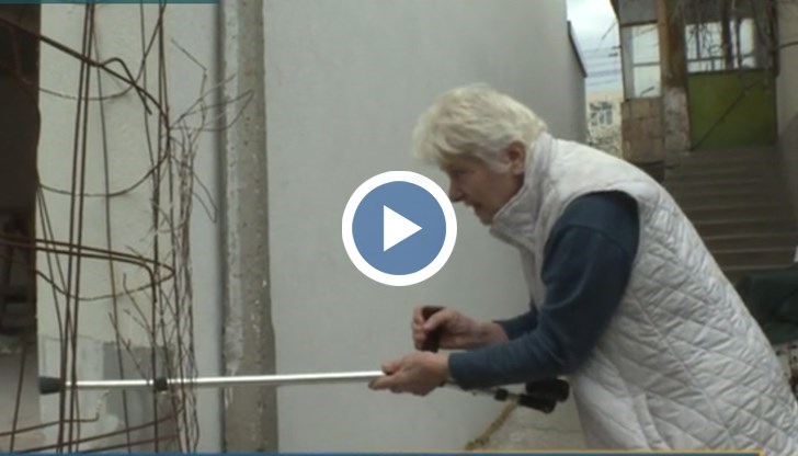70-годишната жена е трудноподвижна и искала да разпръсне глутница бездомни кучета